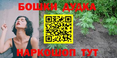 гидра Пушкино
