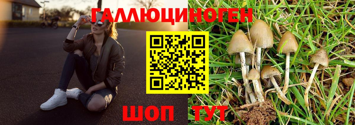 Псилоцибиновые грибы прущие грибы  Вход с VPN  Советская Гавань 