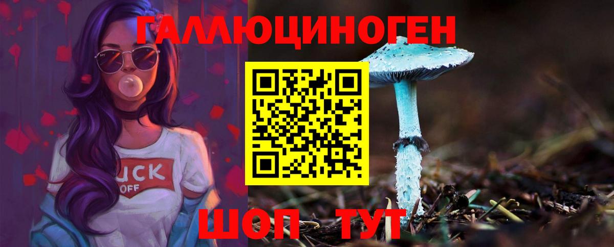 Псилоцибиновые грибы Cubensis Советская Гавань
